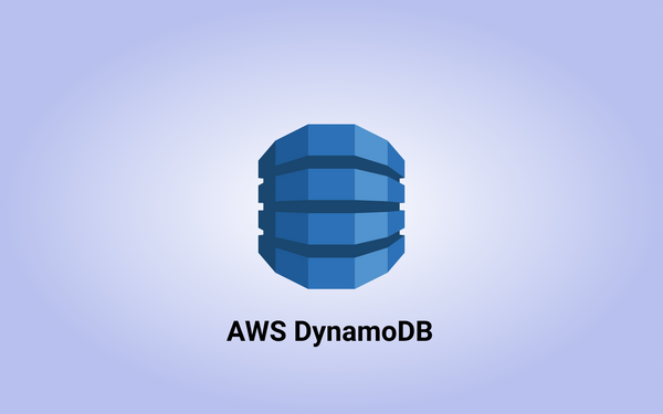 Making a query with low-level SDK against AWS DynamoDB with .NET Core 6
